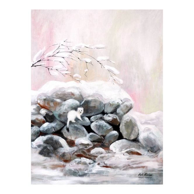 Huvudbild Poster Hermelin 30x40 cm