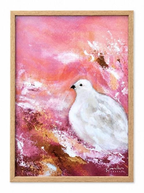 Hovedbilde Poster Rosa ripa 50x70 cm